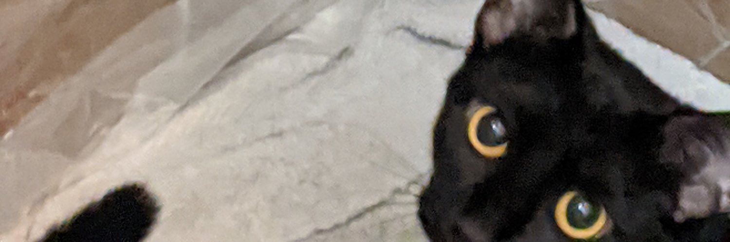 nitroforapig's profile banner image