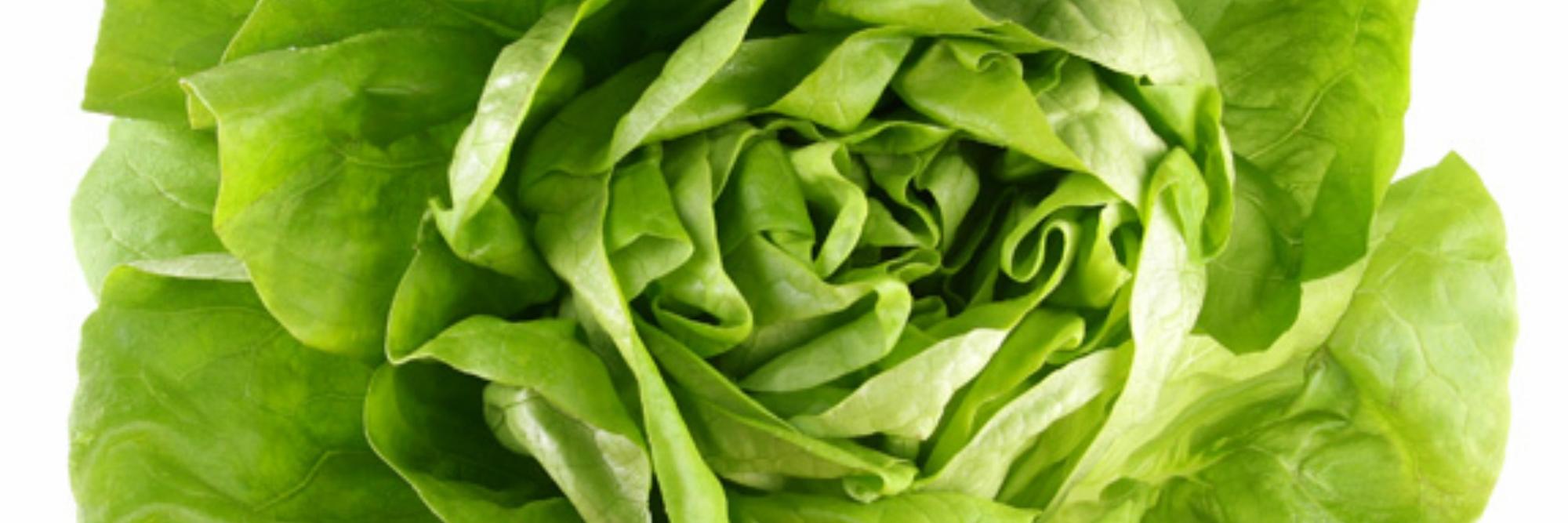 HandPFineFoods's profile banner image