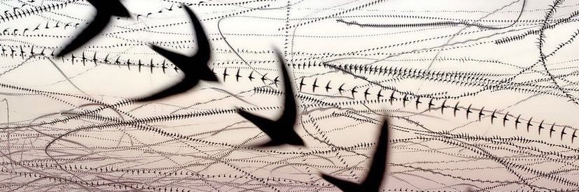sergiodeacu's profile banner image