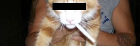 coveleven's profile banner image