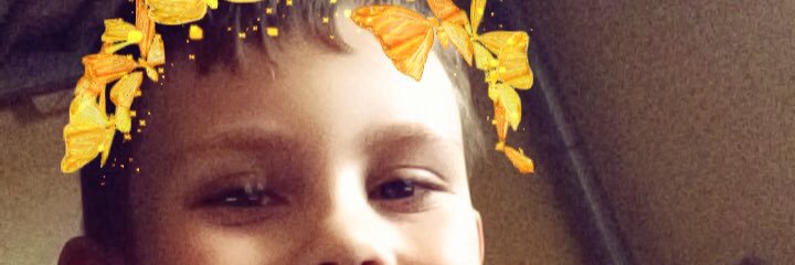 LynnButterly's profile banner image