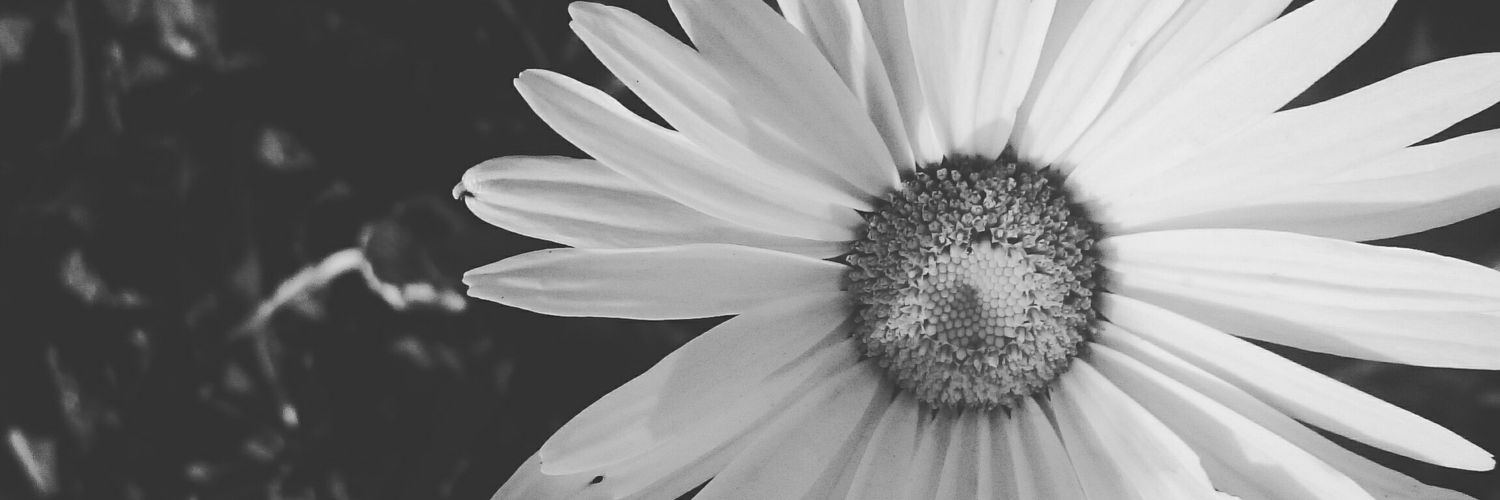 Autumn_330's profile banner image