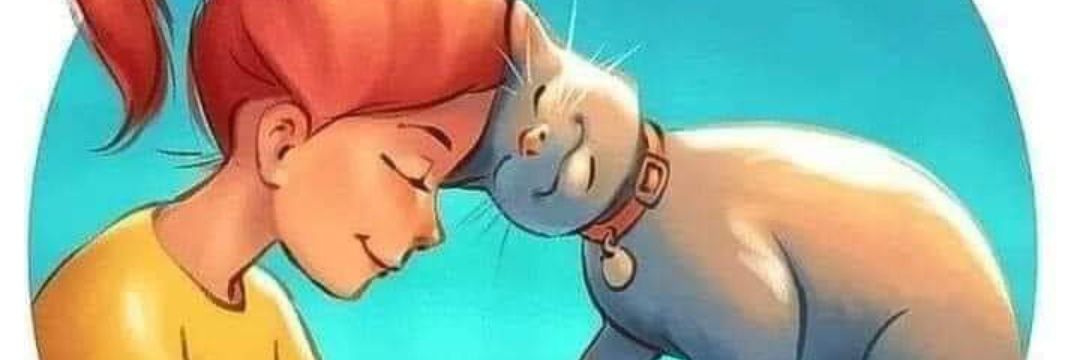 amanda_lomba's profile banner image