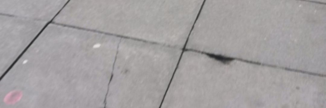 lone_eel's profile banner image