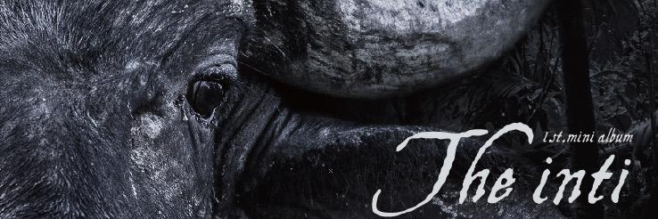 the_inti_M's profile banner image