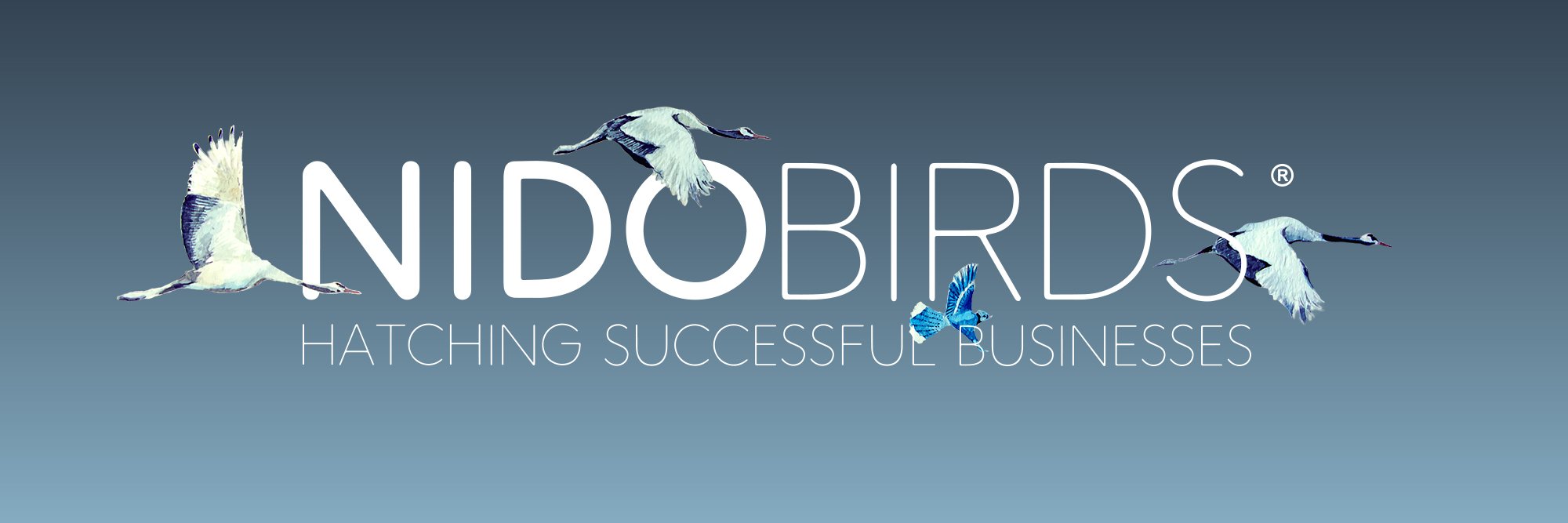nidobirds's profile banner image