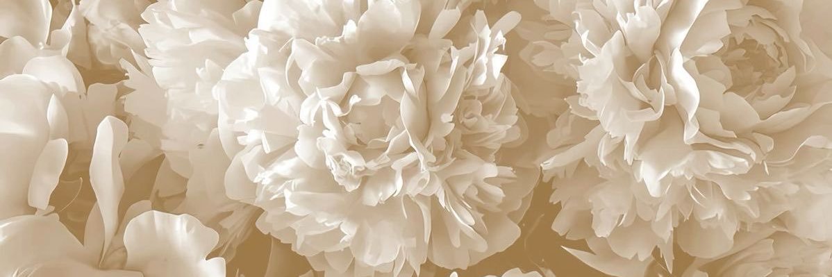 🐰 banner