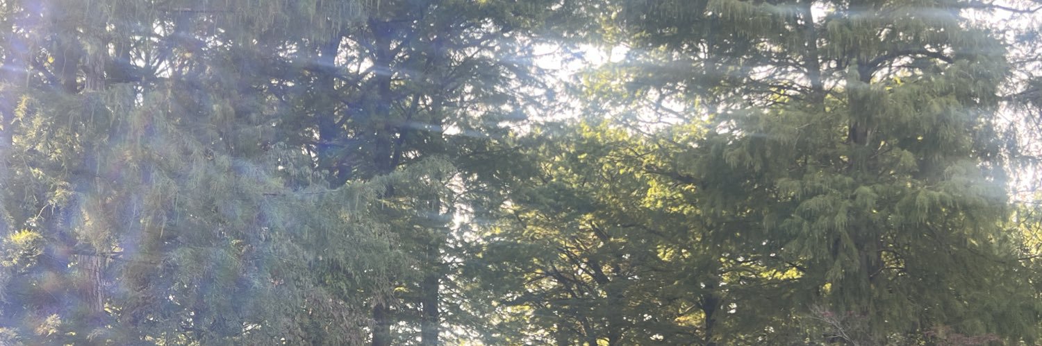 luvrofpeace's profile banner image