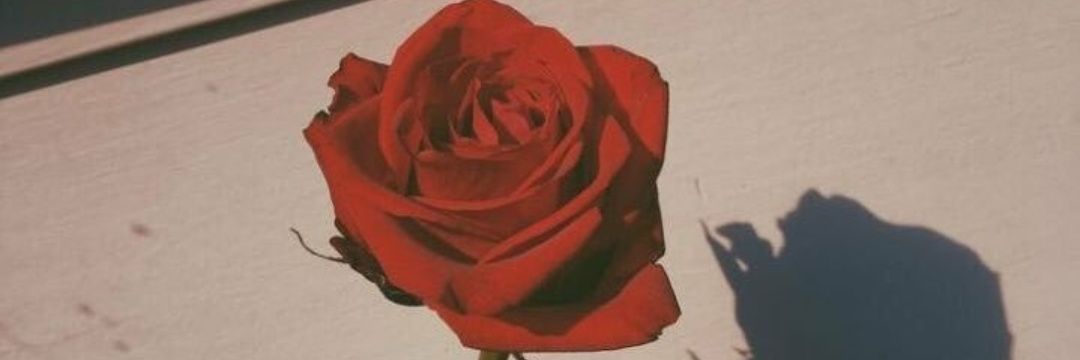 _fetishyou's profile banner image
