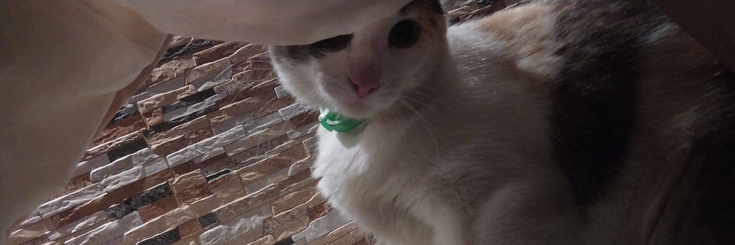 emisosa's profile banner image