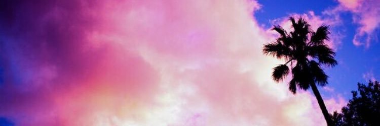 DaniB_22's profile banner image