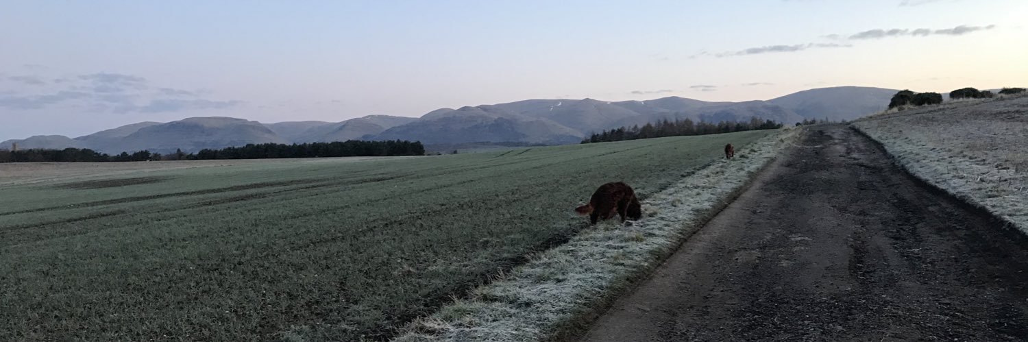 cath1211's profile banner image