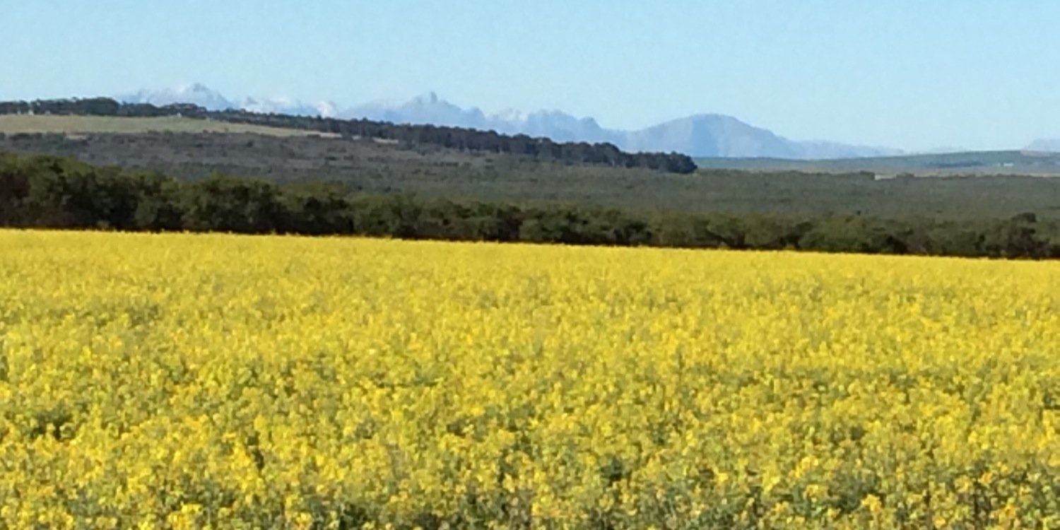 Bridget Fleming banner