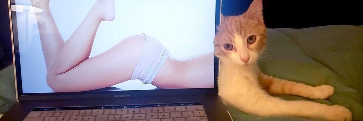 kaiammm's profile banner image