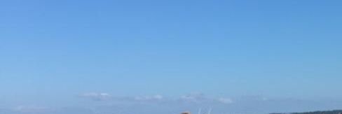 César Vidal banner