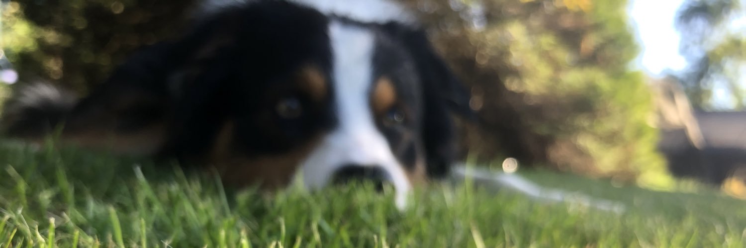 TarynDuJour's profile banner image