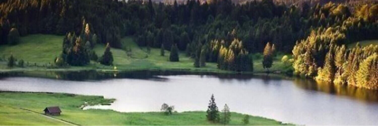 م عبدالله حديد الشمري banner