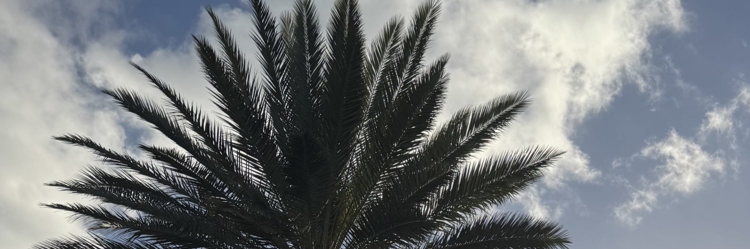 corfieldlorena's profile banner image