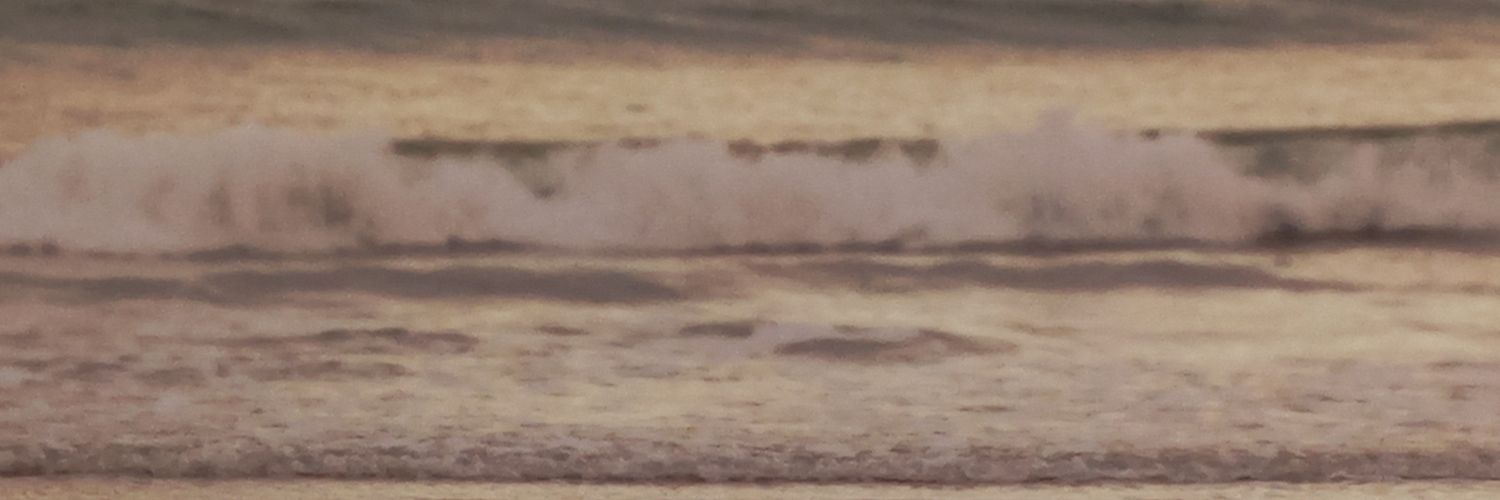 lizpae's profile banner image