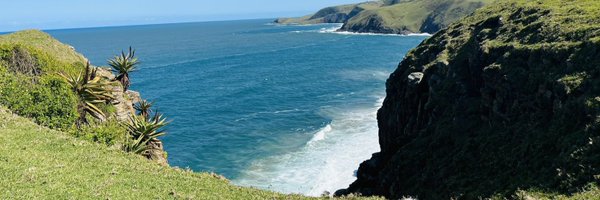 AsiveN_ Profile Banner