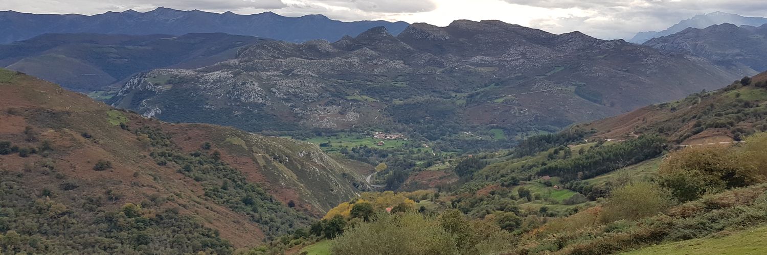 PedroPabloAroca's profile banner image