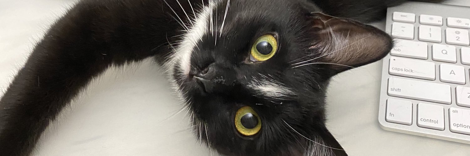 Lindafus's profile banner image