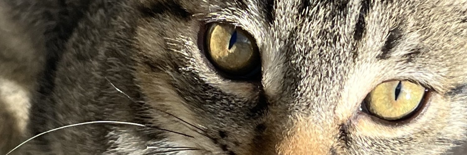 mar_arandaaa's profile banner image