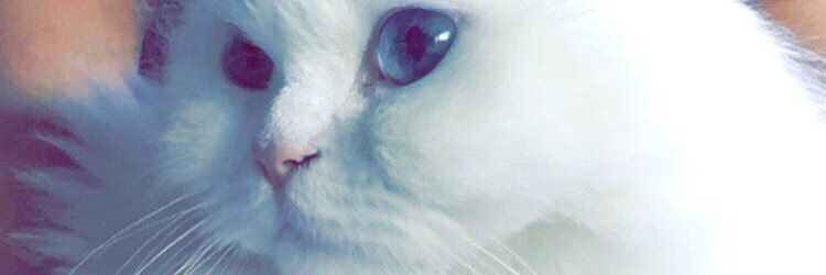 faljiran's profile banner image
