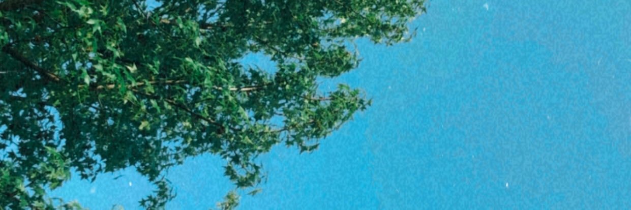 sweetsmelod's profile banner image