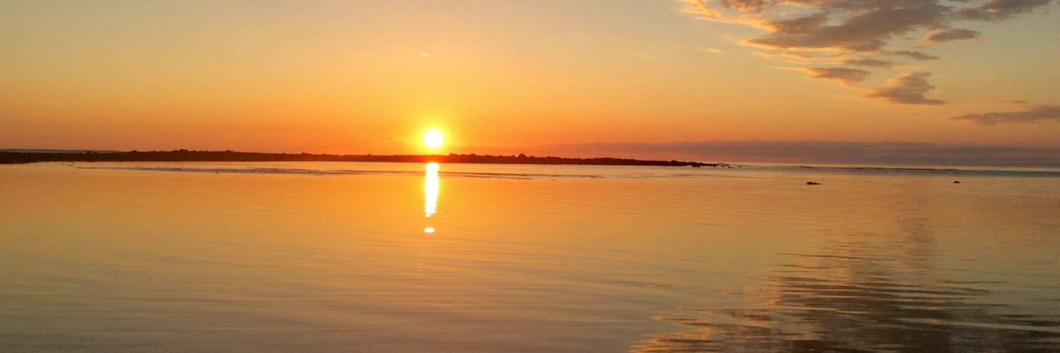 Morgan_obrien16's profile banner image