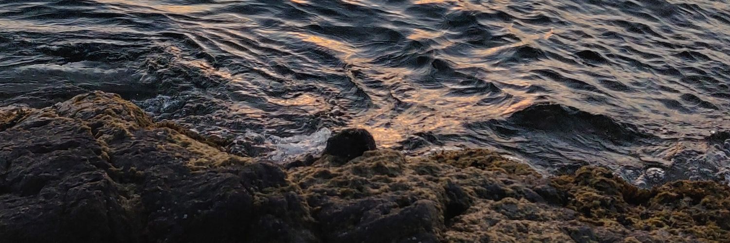 turuleiro's profile banner image