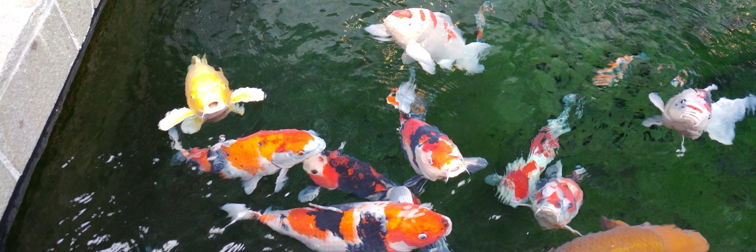 隣のフランク banner