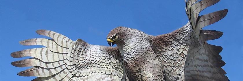 HCPSHawks's profile banner image