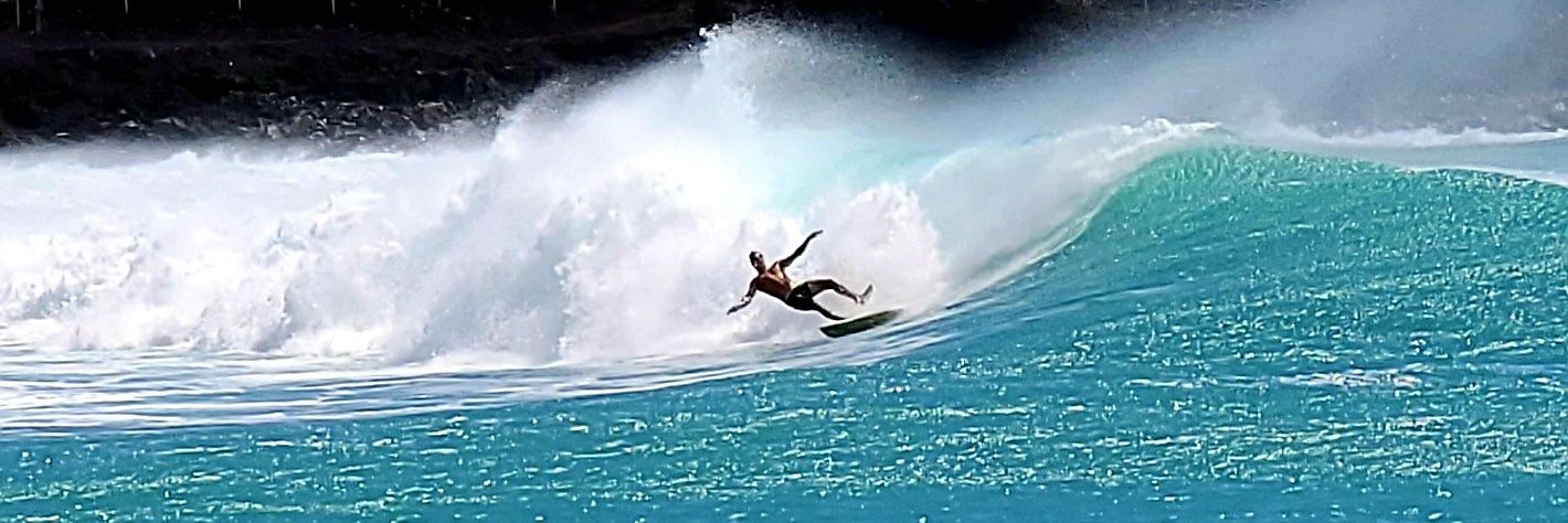 Roger Thornhill banner