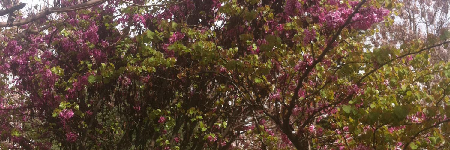 Emalia47's profile banner image