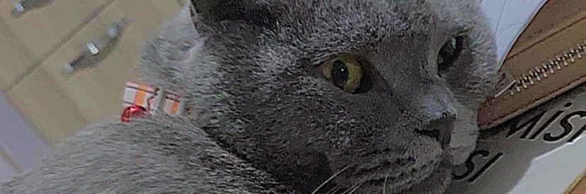 benguozmenn's profile banner image