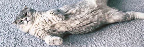 erarslan_gonca's profile banner image