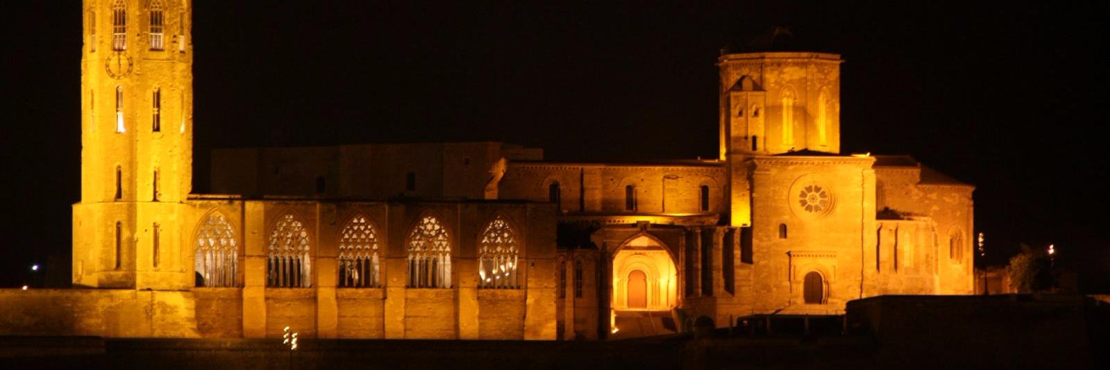 Ferran Montardit banner