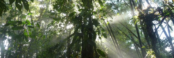 KPG13_ Profile Banner