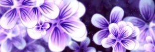 its_only_V's profile banner image