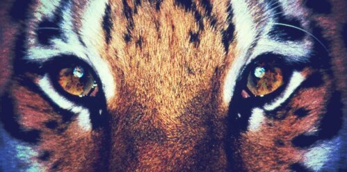 AndriusAfonso's profile banner image