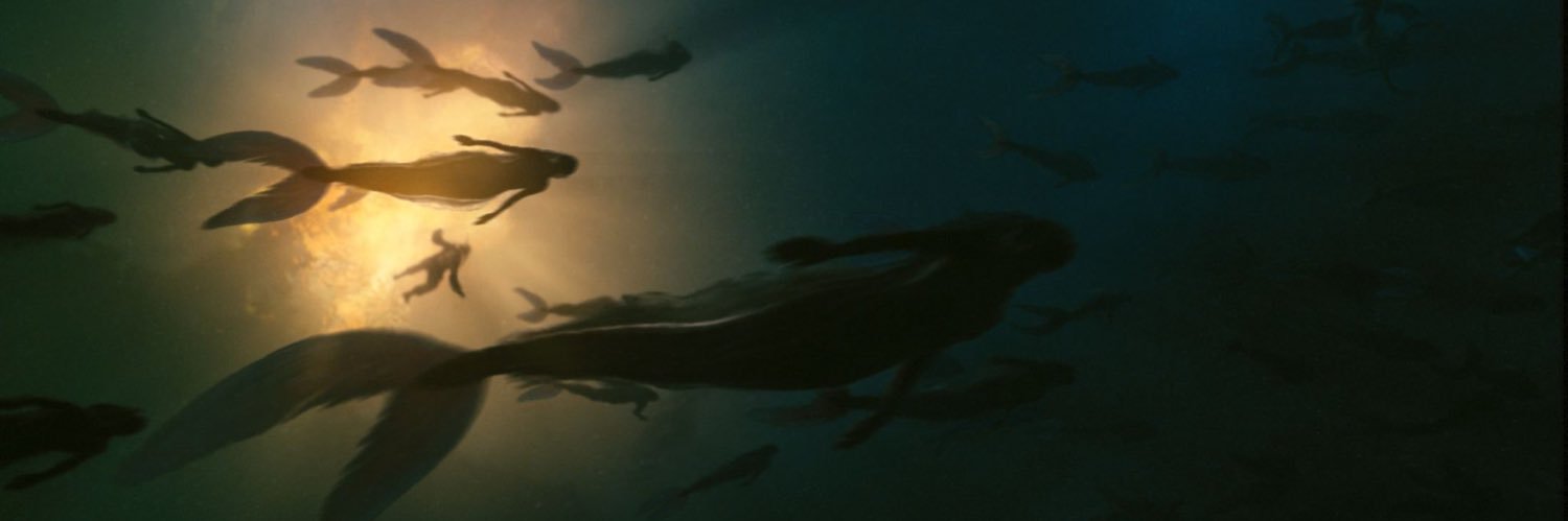 radwiitch's profile banner image