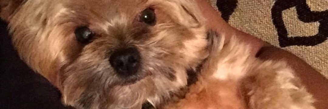 tkrobinson_'s profile banner image