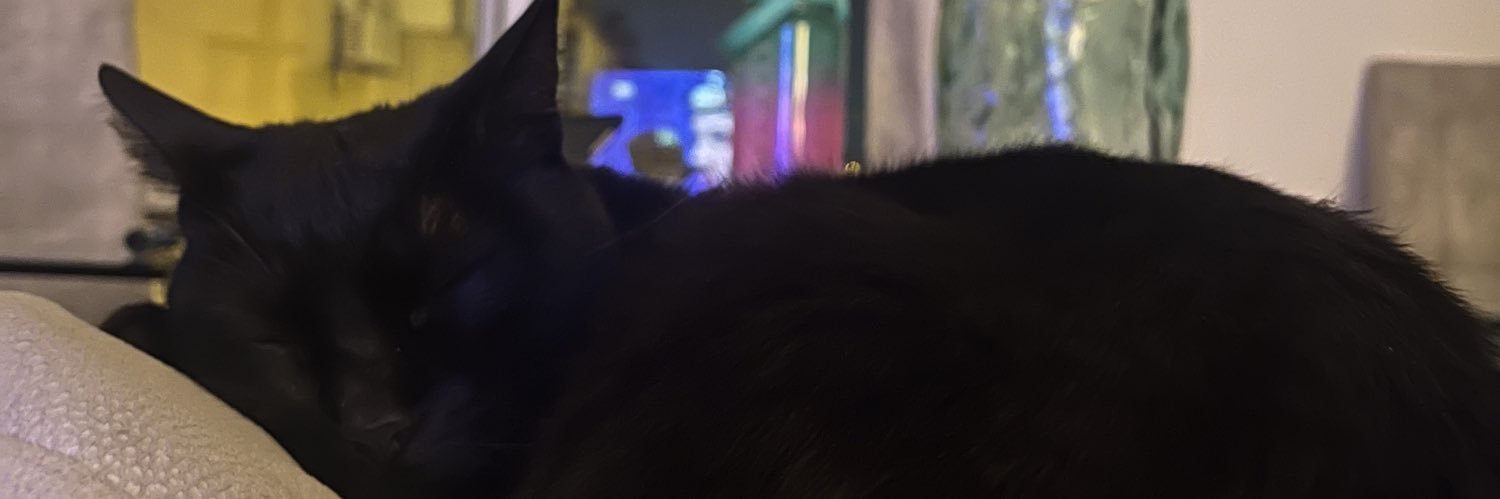 AlaricRic2's profile banner image