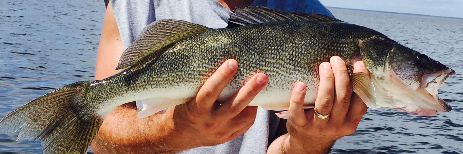 MNFishing1's profile banner image