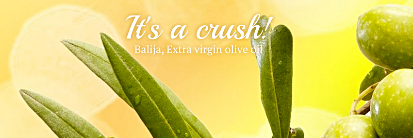 BalijaEVO's profile banner image