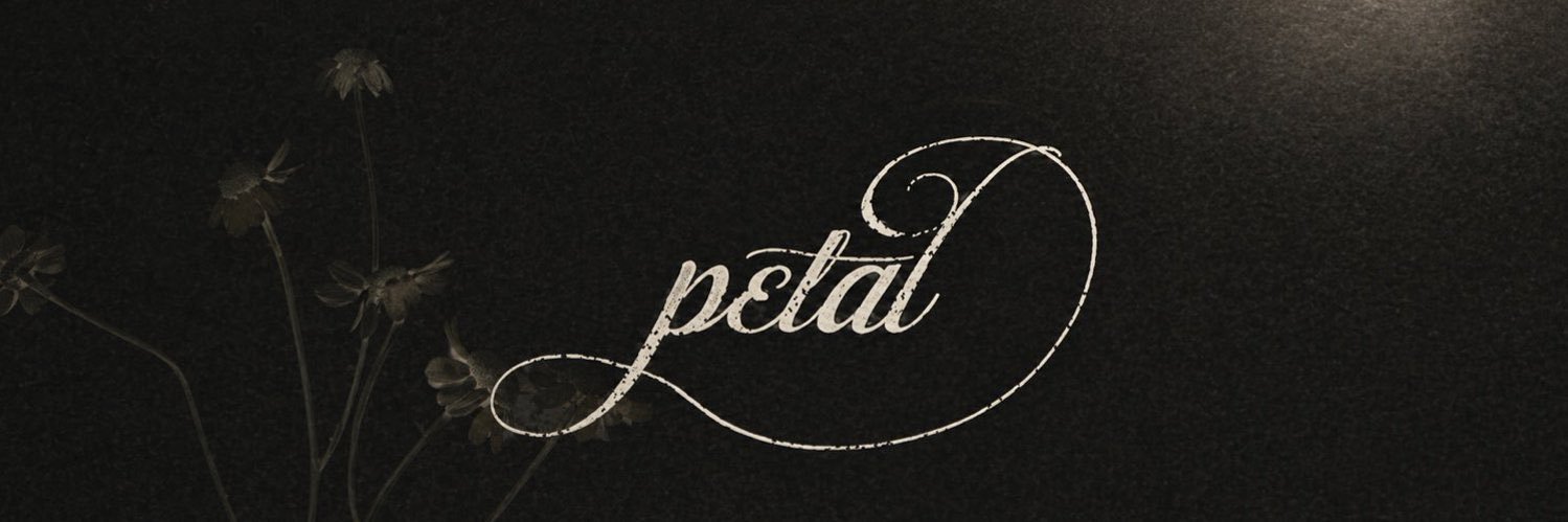 parotzinha's profile banner image