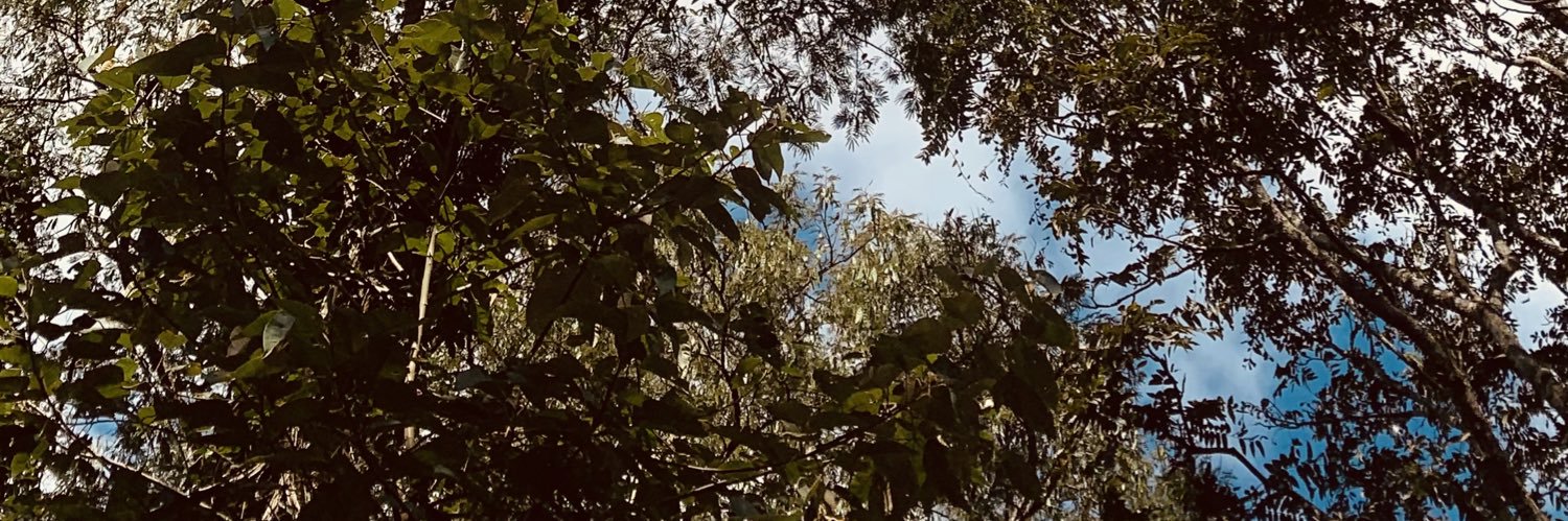 thamyzuando's profile banner image