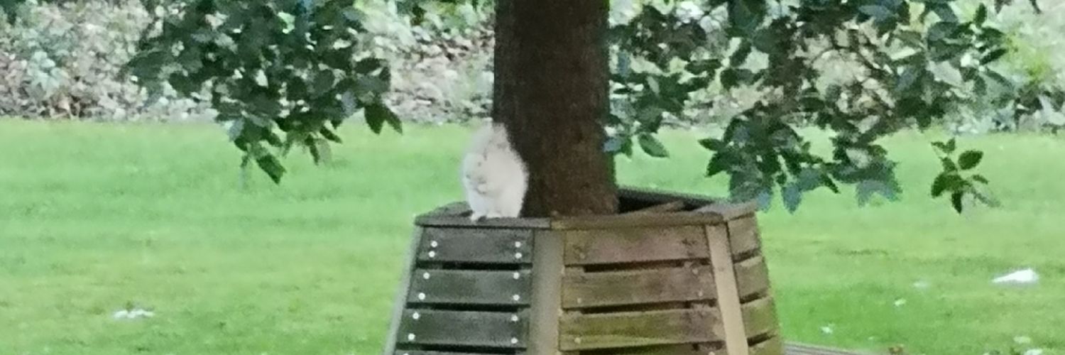 clauds likes sci-fi banner