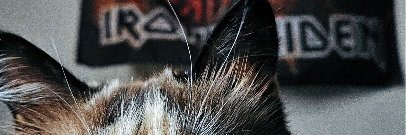 jess ☽ 𓆘 banner
